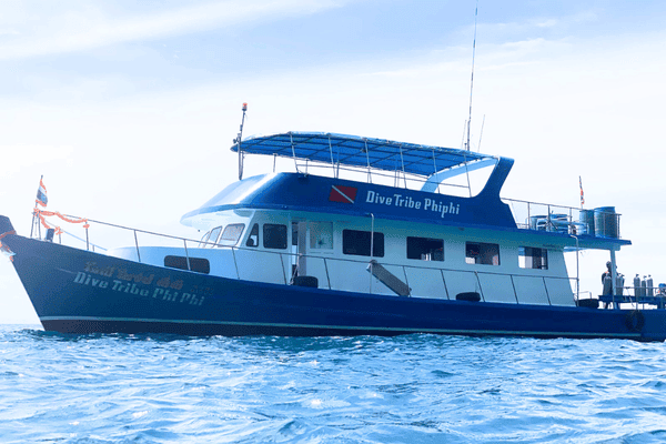 Dive Tribe Phi Phi ボート 2